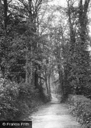 Ogmore Woods 1898, Bridgend