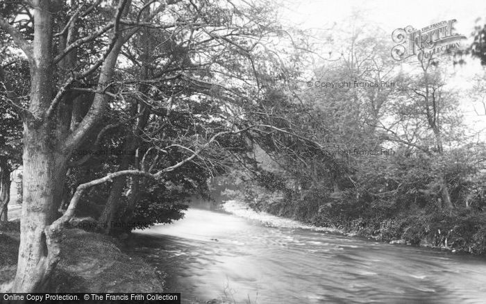 Photo of Bridgend, Ogmore Woods 1898
