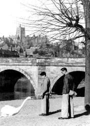 Boys And Swans At Severn Bridge c.1950, Bridgnorth