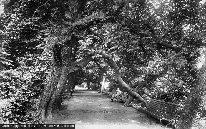 Photo of Bridgwater, Blake Gardens 1903