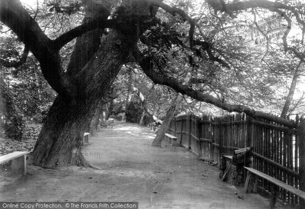 Photo of Bridgwater, Blake Gardens Avenue 1900
