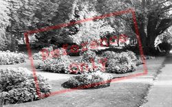 Blake Gardens c.1965, Bridgwater