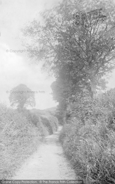 Photo of Bridport, A Dorset Lane 1909