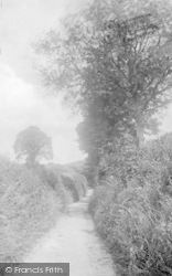 A Dorset Lane 1909, Bridport