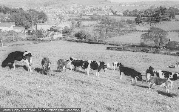 Photo of Bridport, c.1965