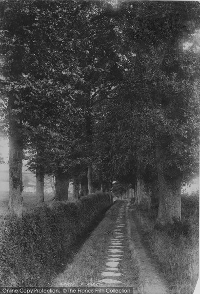 Photo of Bridport, Lovers' Grove 1897