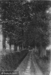 Lovers' Grove 1897, Bridport