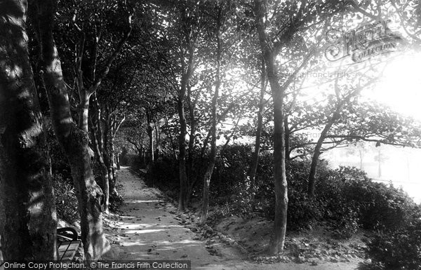 Photo of Brighton, Preston Park 1890