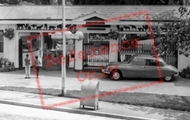 The Zoo c.1960, Bristol