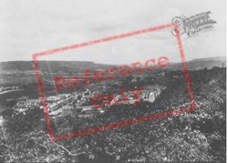 The View From The Woods c.1965, Briton Ferry