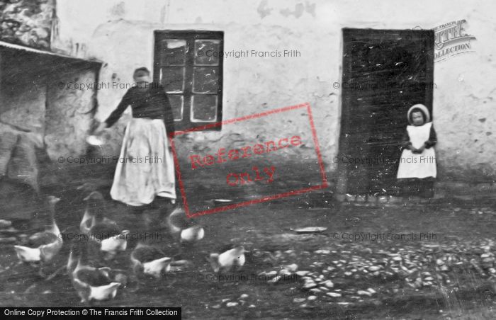 Photo of Brixham, Annie Tolcher's Cottage, Feeding The Geese 1905