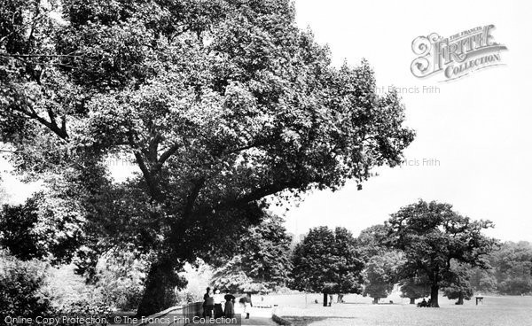 Photo of Brixton, Brockwell Park, View From Hall 1899