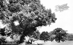 Brockwell Park, View From Hall 1899, Brixton