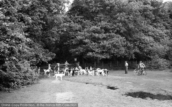 Photo of Brockenhurst, The Foxhounds At Balmer Lawn 1954