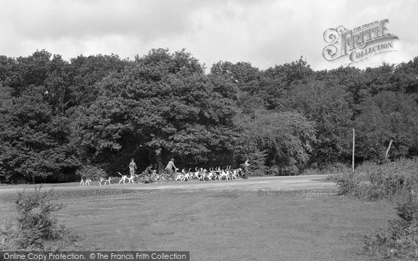 Photo of Brockenhurst, The Foxhounds At Balmer Lawn 1954