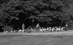 The Foxhounds At Balmer Lawn 1954, Brockenhurst