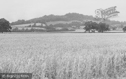View Towards Chosen Hill c.1950, Brockworth