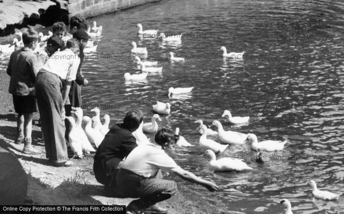 Photo of Bromborough, Feeding The Ducks, Raby Mere c.1955