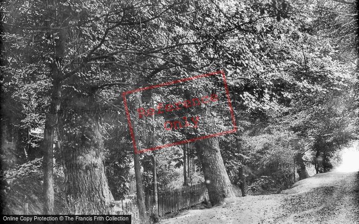Photo of Bromley, Glass Mill Lane 1899
