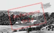 View From Recreation Ground 1898, Bromley