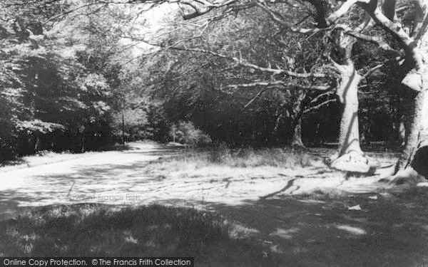Photo of Bromsgrove, Pipers Hill Common c.1965