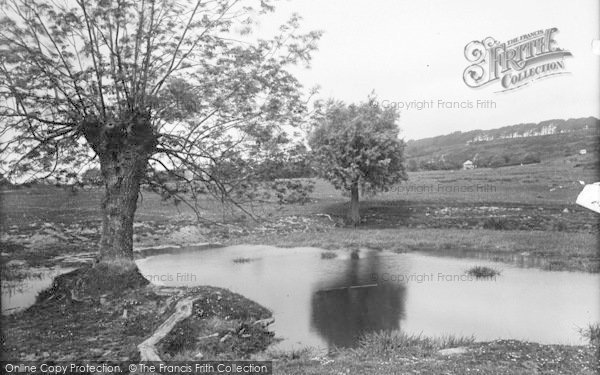 Photo of Bromyard, The Downs Common 1923