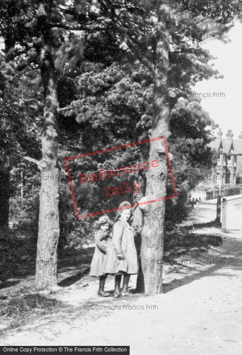 Photo of Brookwood, Girls Under Pine Trees 1909