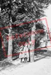Girls Under Pine Trees 1909, Brookwood