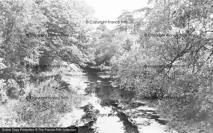 Photo of Brookwood, The Canal c.1960