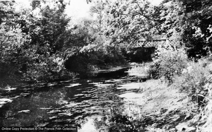 Photo of Brookwood, The Canal c.1960