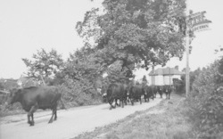 Cox's Lane c.1955, Broughton
