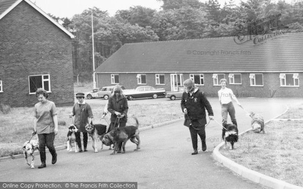 Photo of Broughton, Dog Walking, The Jerry Green Animal Sanctuary c.1960