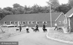 Dogs, The Jerry Green Animal Sanctuary c.1960, Broughton