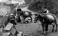 Children With Donkeys 1906, Buck's Mills