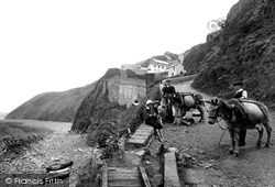 The Cliffs 1906, Buck's Mills
