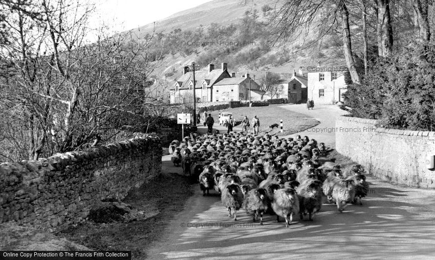 Buckden, Driving Sheep through the Village c1955