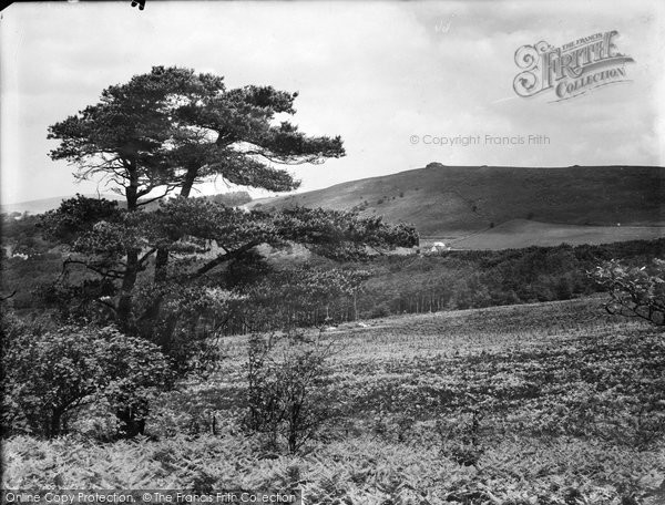 Photo of Buckland In The Moor, Beacon From Ashburton Road 1931
