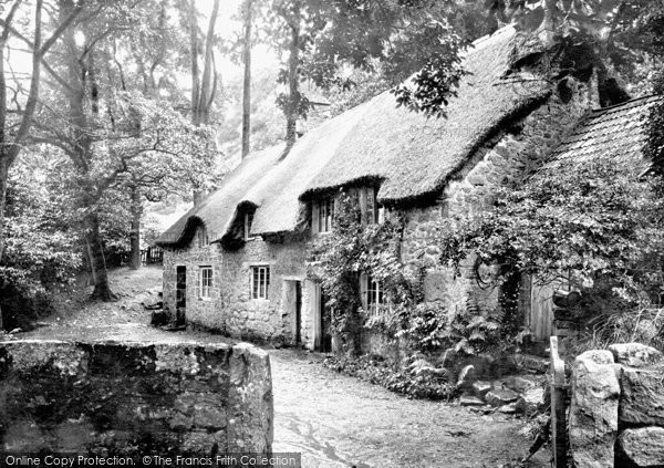 Photo of Buckland In The Moor, Cottages 1890