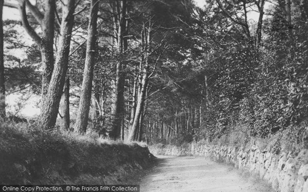 Photo of Buckland In The Moor, The Road To Buckland 1890