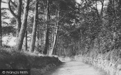 The Road To Buckland 1890, Buckland In The Moor