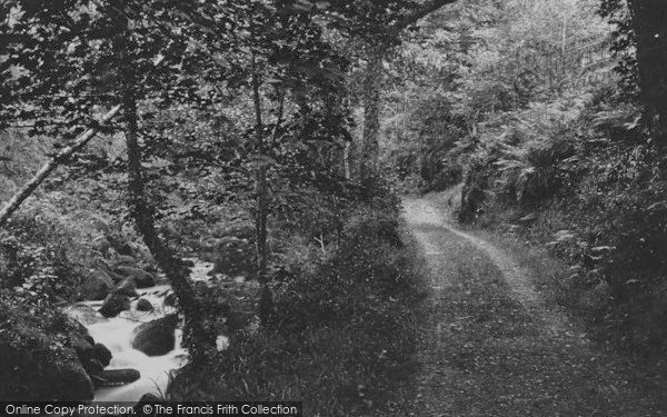 Photo of Buckland In The Moor, The Woods And River Dart 1890