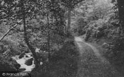 The Woods And River Dart 1890, Buckland In The Moor
