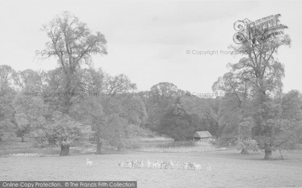 Photo of Buckland, Park c.1965