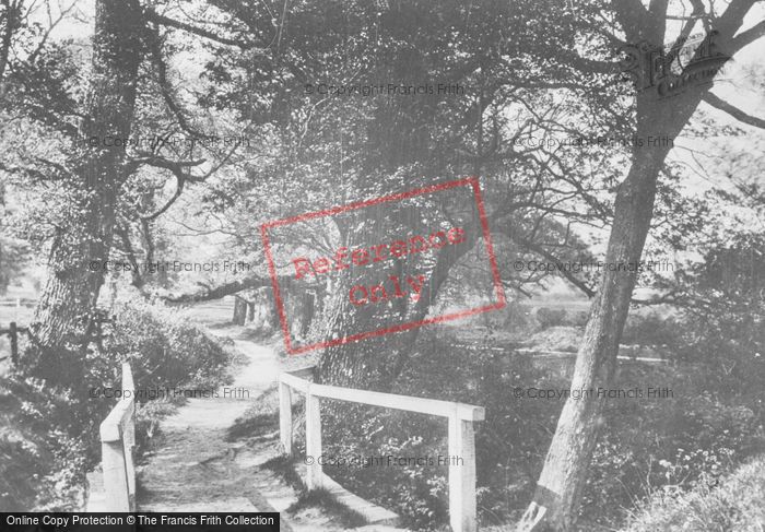 Photo of Buckland, Rectory Lane 1906