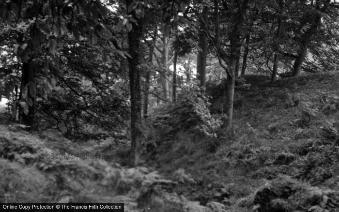 Photo of Buckland St Mary, Castle Neroche 1956