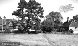 The Green c.1955, Buckland