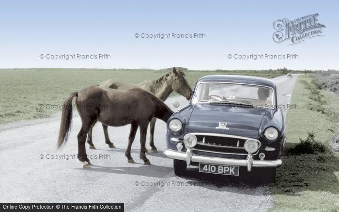 Photo of Bucklers Hard, New Forest Ponies c.1960