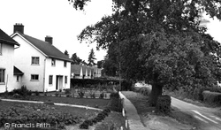 Levington Lane c.1960, Bucklesham