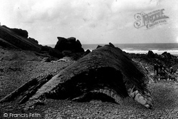 Whales Back And Saddle Rock 1900, Bude