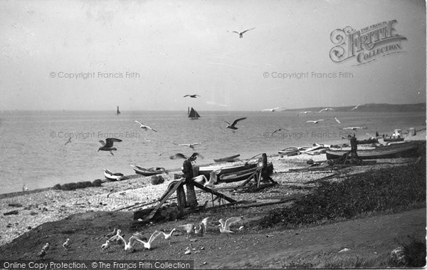 Photo of Budleigh Salterton, Beach And Gulls 1906